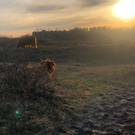 Вілла De Bosrand Grenzend Aan Het Bos Кастрикюм Екстер'єр фото